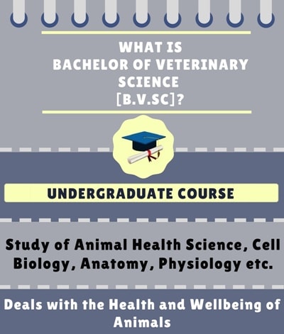 Bachelor Of Veterinary Science [B.V.Sc] Course Details - Admissions ...