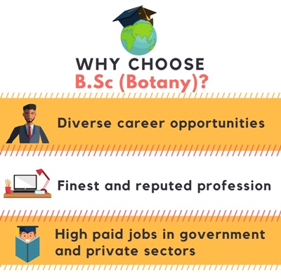 Bachelor Of Science [B.Sc] (Botany) Course Details - Admissions, Eligibility, Duration And ...