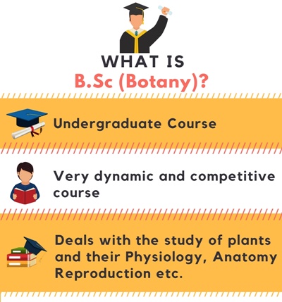 Bachelor Of Science [B.Sc] (Botany) Course Details - Admissions ...