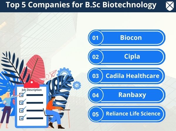 BSc Biotechnology: Course Details, Eligibility, Fees, Admission