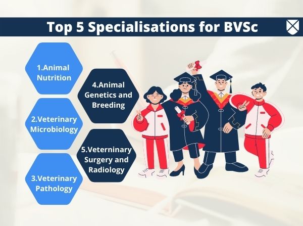 BVSc: Full Form, Course Details, Eligibility, Fees, Admission